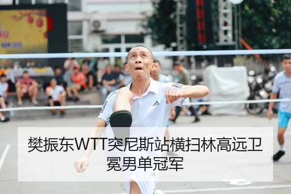 樊振东WTT突尼斯站横扫林高远卫冕男单冠军