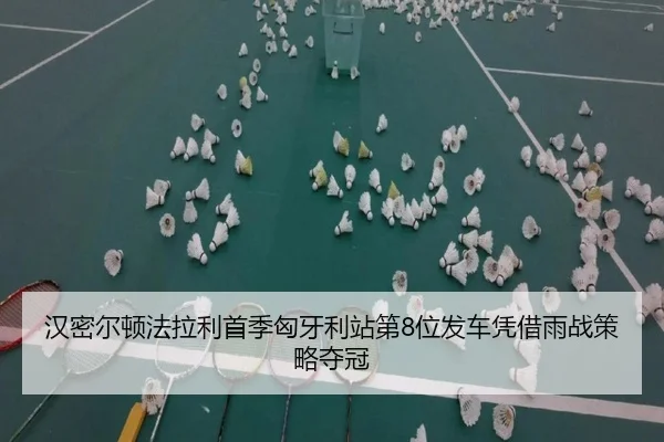 han-mi-er-dun-fa-la-li-shou-ji-xiong-ya-li-zhan-di-wei-fa-che-ping-jie-yu-zhan-ce-lve-duo-guan-3-400.jpg